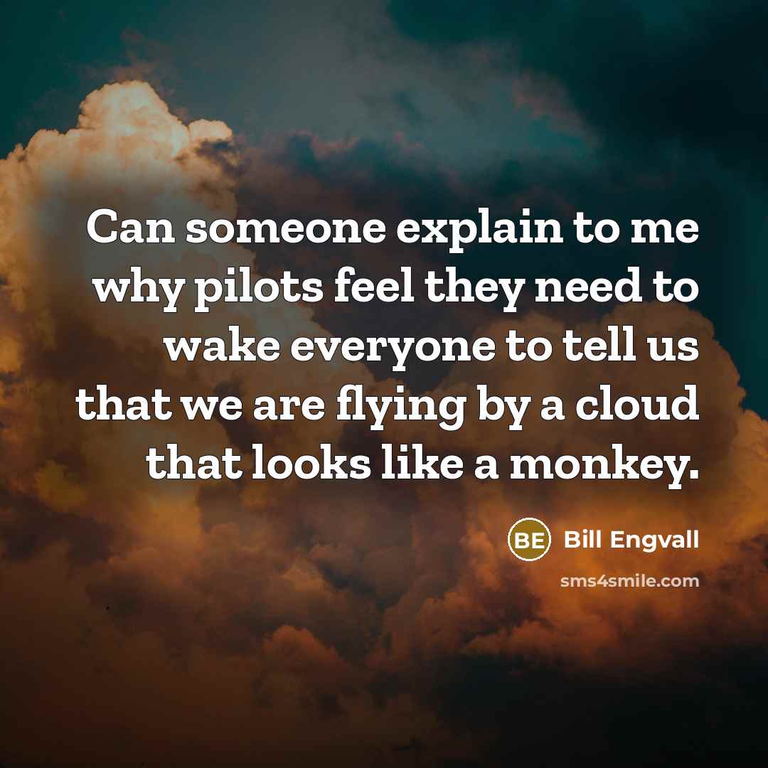 “Can someone explain to me why pilots feel they need to wake everyone to tell us that we are flying by a cloud that looks like a monkey.” quote by Bill Engvall