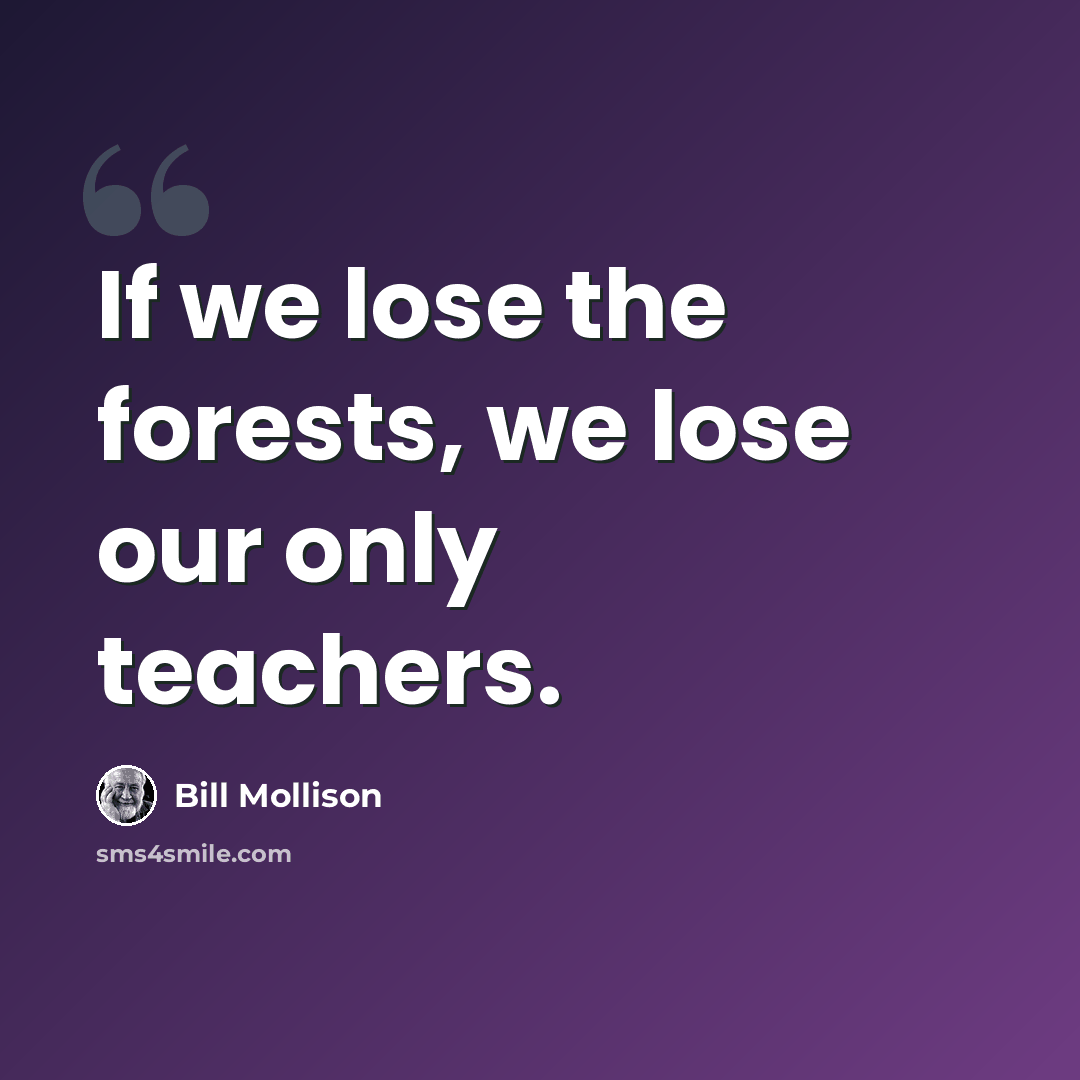 “If we lose the forests, we lose our only teachers.” quote by Bill Mollison