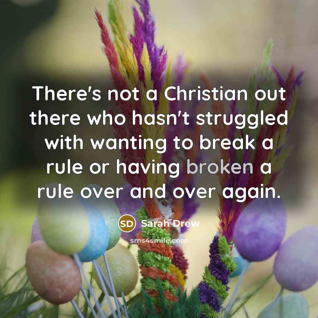 “There's not a Christian out there who hasn't struggled with wanting to break a rule or having broken a rule over and over again.” quote by Sarah Drew