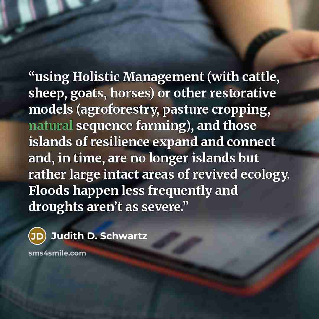 “using Holistic Management (with cattle, sheep, goats, horses) or other restorative models (agroforestry, pasture cropping, natural sequence farming), and those islands of resilience expand and connect and, in time, are no longer islands but rather large intact areas of revived ecology. Floods…” quote by Judith D. Schwartz