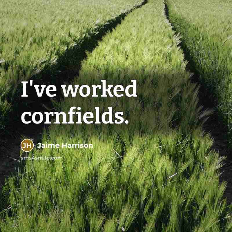 “I've worked cornfields.” quote by Jaime Harrison
