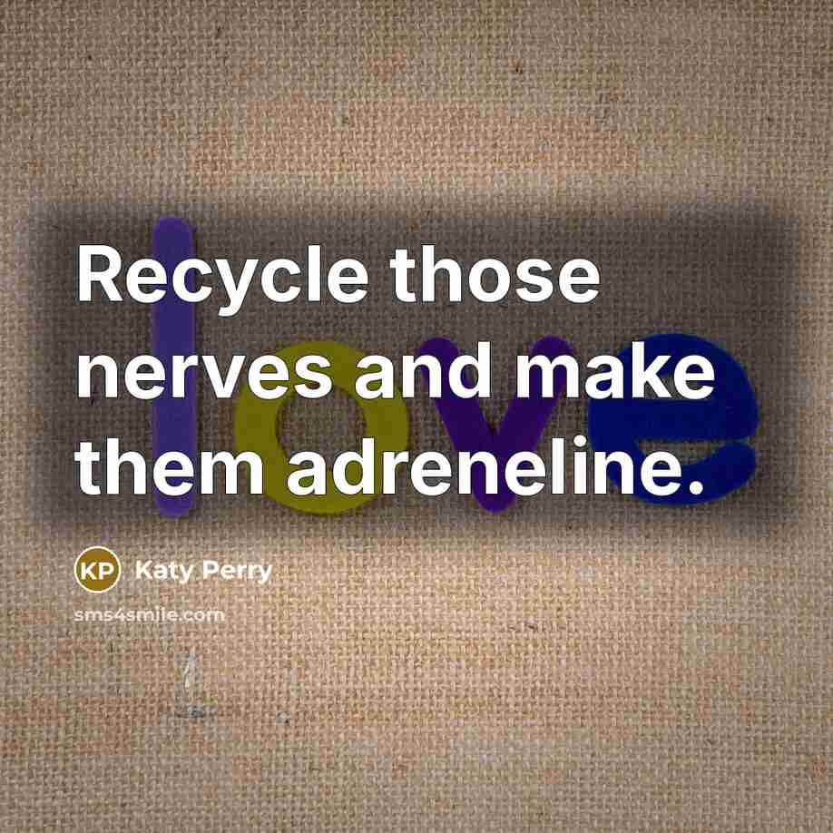 “Recycle those nerves and make them adreneline.” quote by Katy Perry