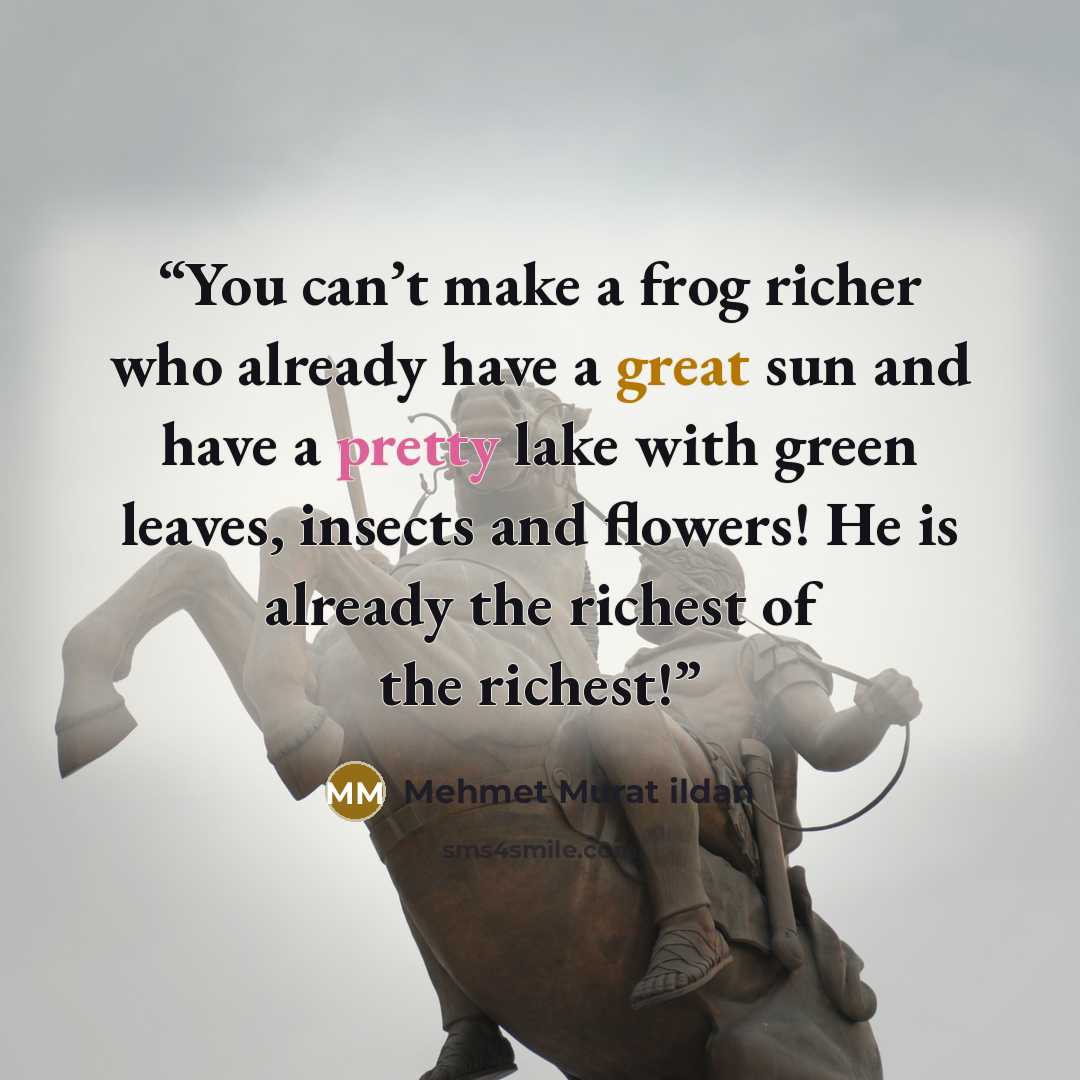 “You can’t make a frog richer who already have a great sun and have a pretty lake with green leaves, insects and flowers! He is already the richest of the richest!” quote by Mehmet Murat ildan