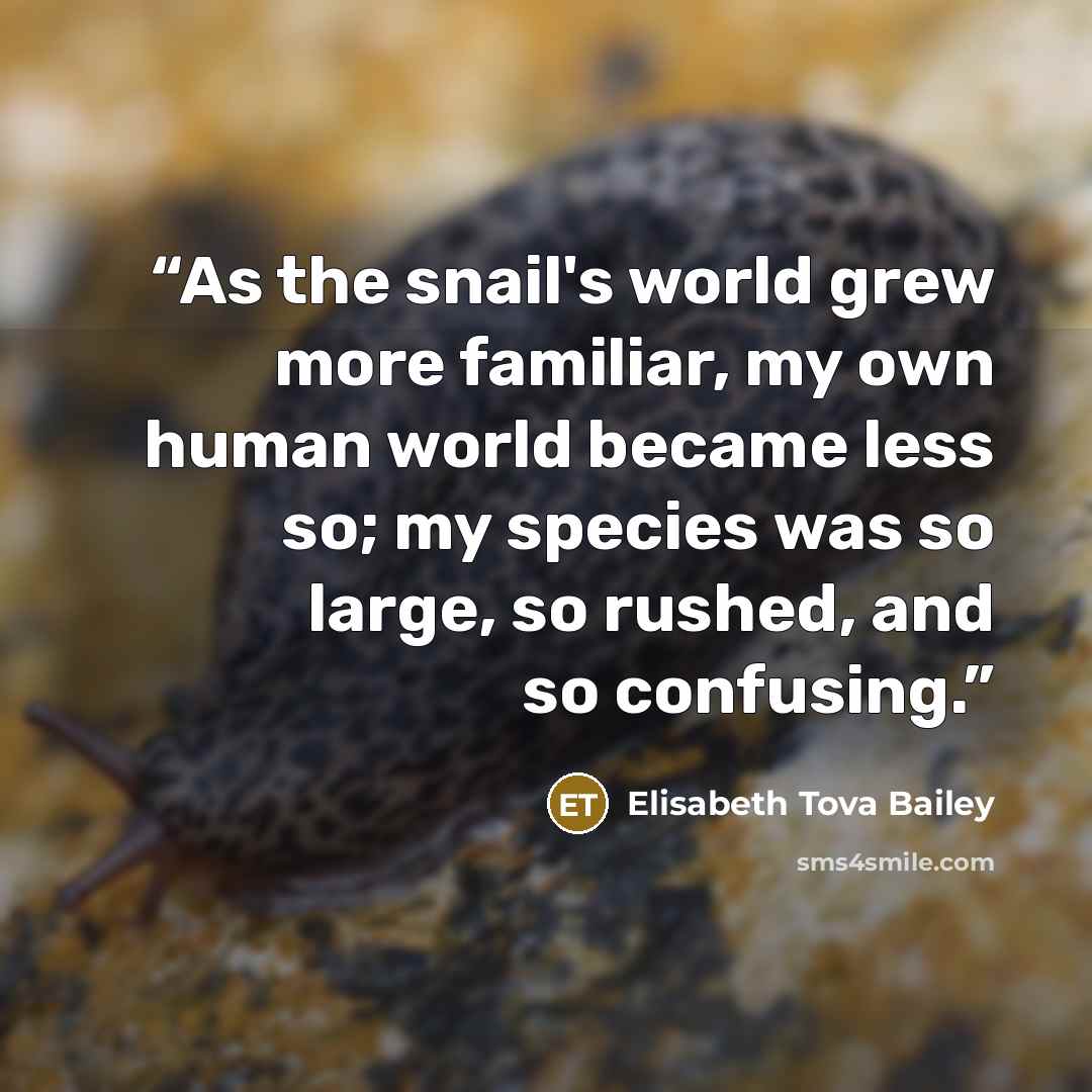 “As the snail's world grew more familiar, my own human world became less so; my species was so large, so rushed, and so confusing.” quote by Elisabeth Tova Bailey