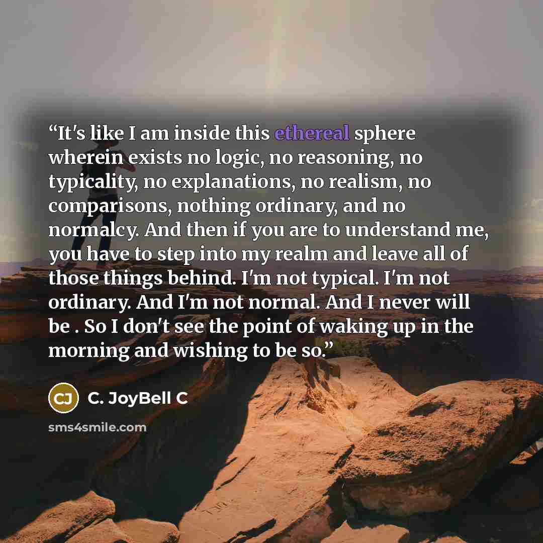 “It's like I am inside this ethereal sphere wherein exists no logic, no reasoning, no typicality, no explanations, no realism, no comparisons, nothing ordinary, and no normalcy. And then if you are to understand me, you have to step into my realm and leave all of those things behind. I'm not…” quote by C. JoyBell C