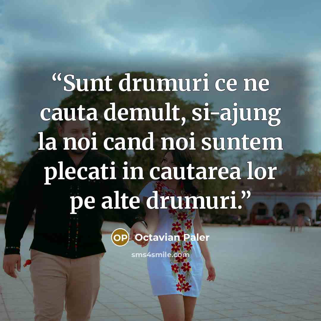 “Sunt drumuri ce ne cauta demult, si-ajung la noi cand noi suntem plecati in cautarea lor pe alte drumuri.” quote by Octavian Paler