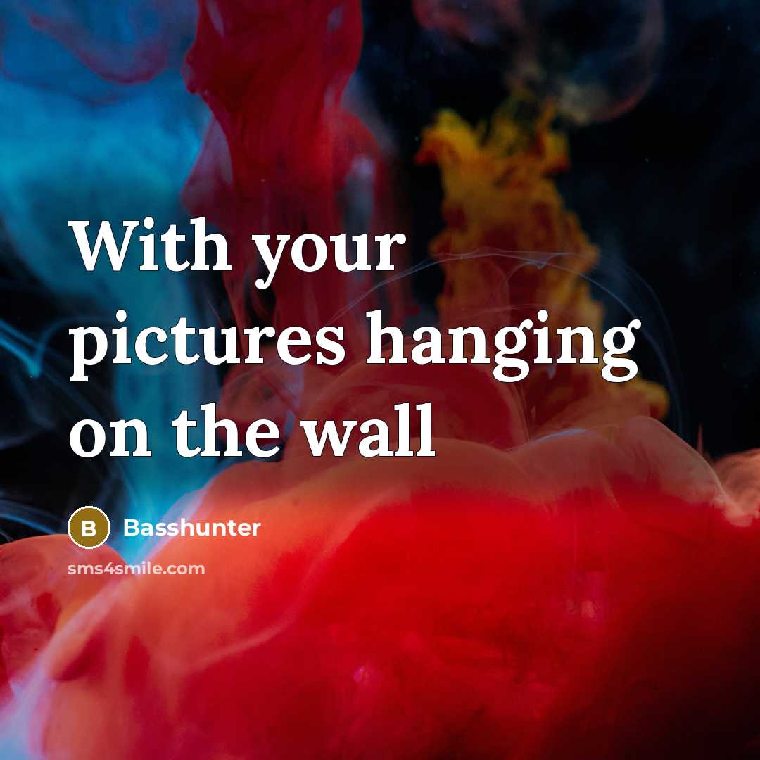 “With your pictures hanging on the wall” quote by Basshunter
