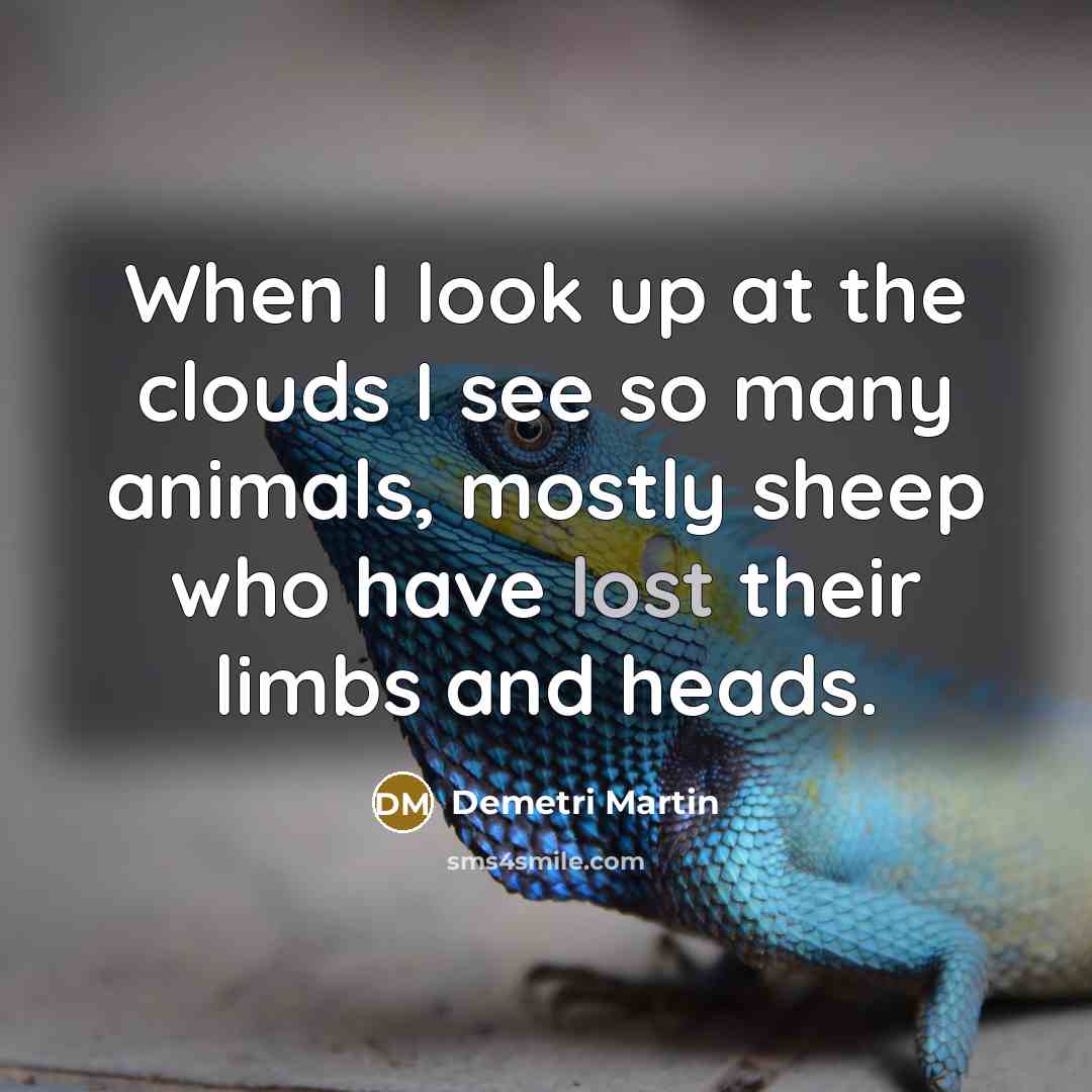 “When I look up at the clouds I see so many animals, mostly sheep who have lost their limbs and heads.” quote by Demetri Martin
