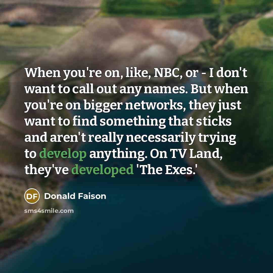 “When you're on, like, NBC, or - I don't want to call out any names. But when you're on bigger networks, they just want to find something that sticks and aren't really necessarily trying to develop anything. On TV Land, they've developed 'The Exes.'” quote by Donald Faison