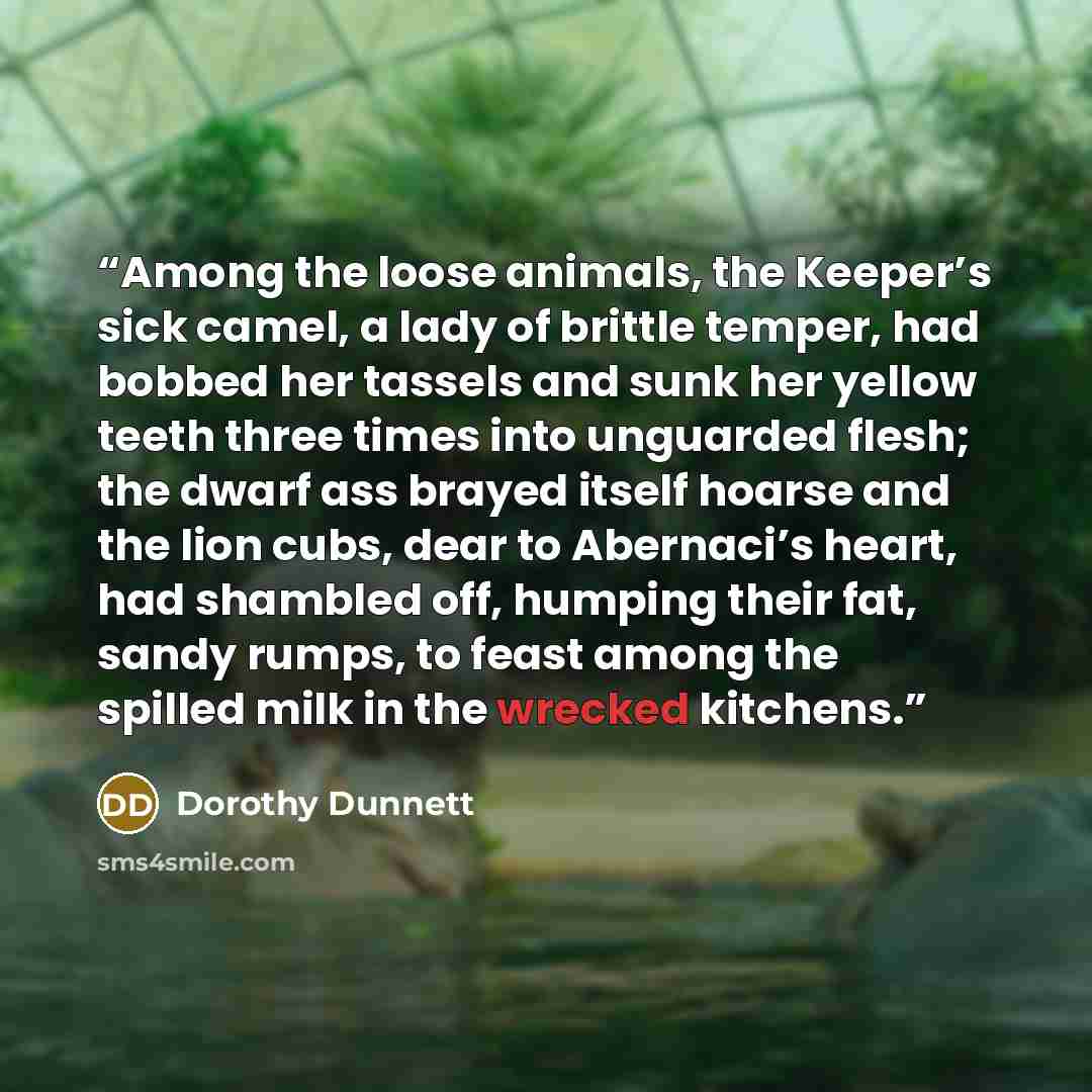 “Among the loose animals, the Keeper’s sick camel, a lady of brittle temper, had bobbed her tassels and sunk her yellow teeth three times into unguarded flesh; the dwarf ass brayed itself hoarse and the lion cubs, dear to Abernaci’s heart, had shambled off, humping their fat, sandy rumps, to feast…” quote by Dorothy Dunnett