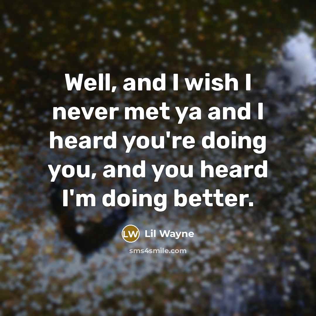 “Well, and I wish I never met ya and I heard you're doing you, and you heard I'm doing better.” quote by Lil Wayne