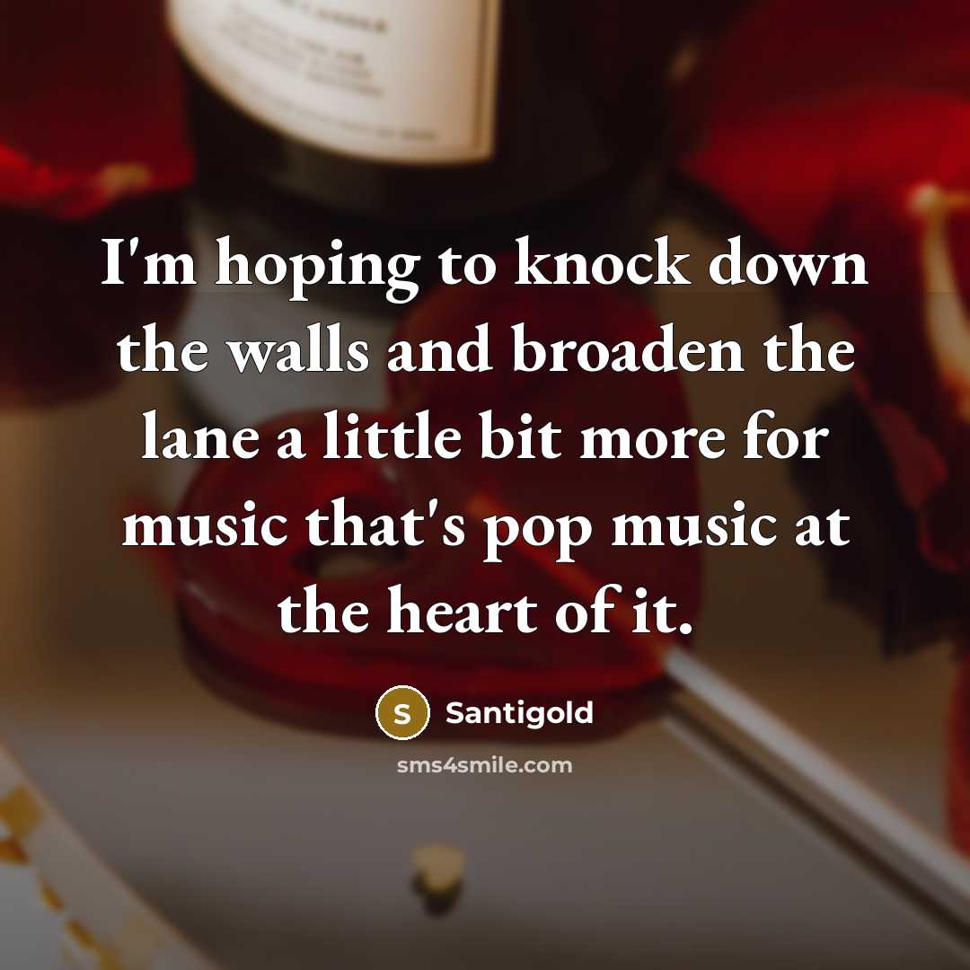 “I'm hoping to knock down the walls and broaden the lane a little bit more for music that's pop music at the heart of it.” quote by Santigold