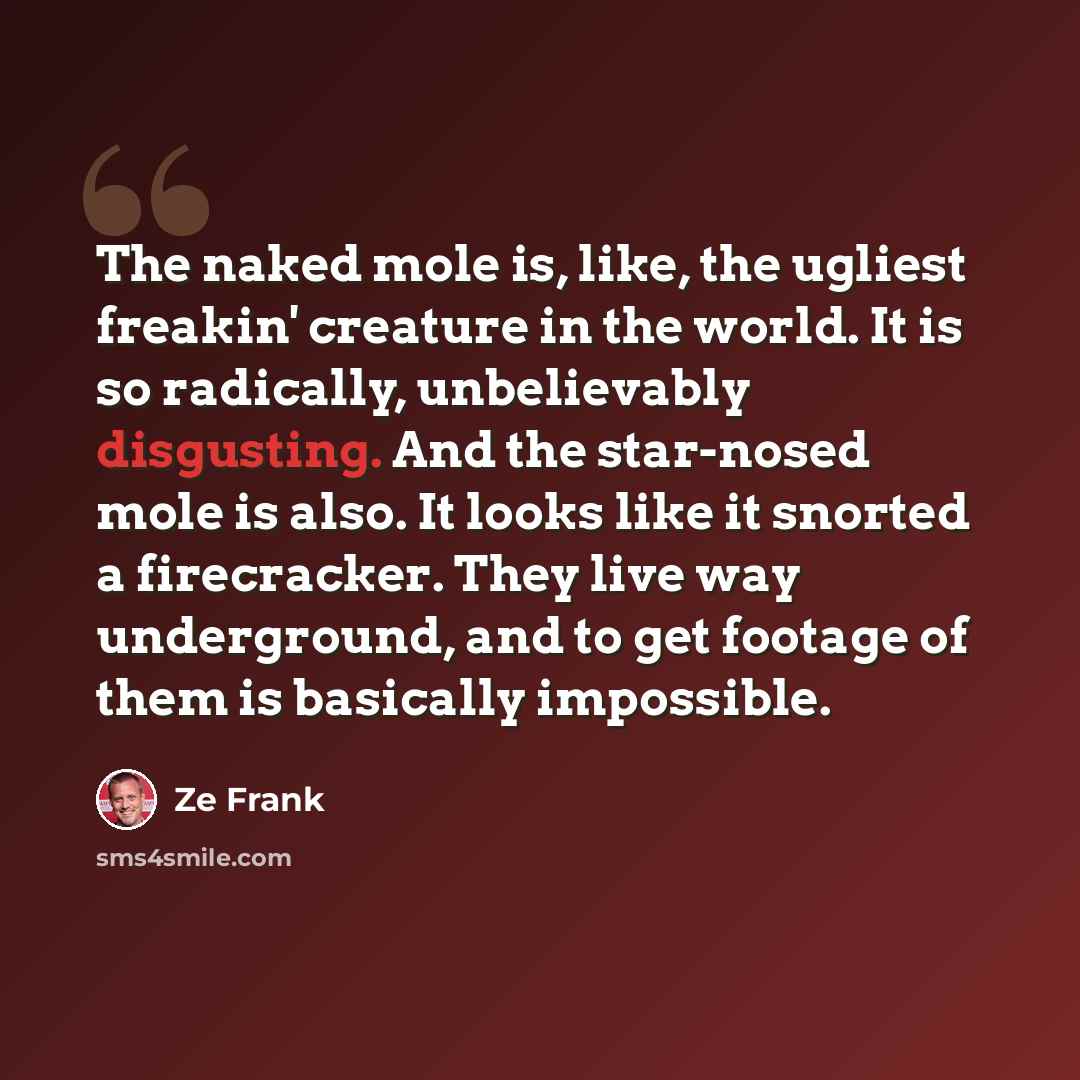 “The naked mole is, like, the ugliest freakin' creature in the world. It is so radically, unbelievably disgusting. And the star-nosed mole is also. It looks like it snorted a firecracker. They live way underground, and to get footage of them is basically impossible.” quote by Ze Frank