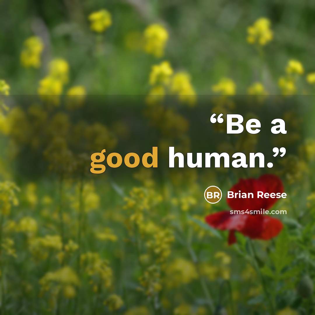 “Be a good human.” quote by Brian Reese