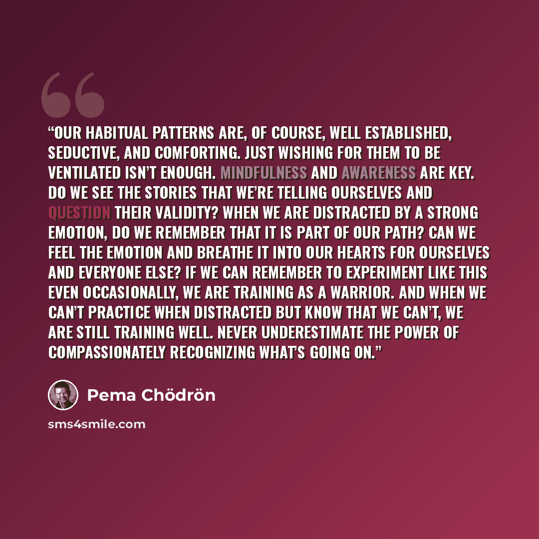 “Our habitual patterns are, of course, well established, seductive, and comforting. Just wishing for them to be ventilated isn’t enough. Mindfulness and awareness are key. Do we see the stories that we’re telling ourselves and question their validity? When we are distracted by a strong emotion, do…” quote by Pema Chodron