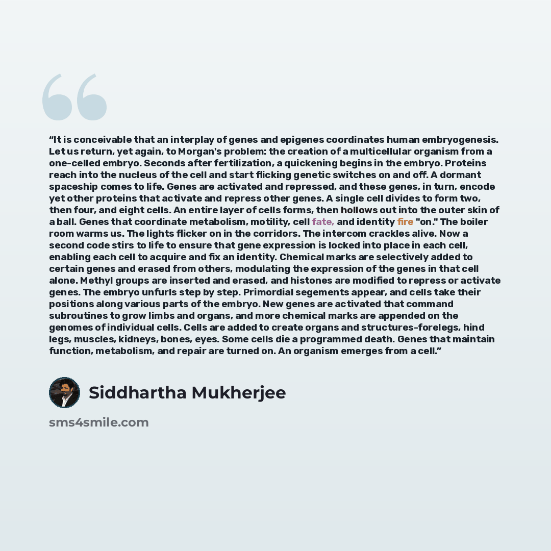 “It is conceivable that an interplay of genes and epigenes coordinates human embryogenesis. Let us return, yet again, to Morgan's problem: the creation of a multicellular organism from a one-celled embryo. Seconds after fertilization, a quickening begins in the embryo. Proteins reach into the…” quote by Siddhartha Mukherjee