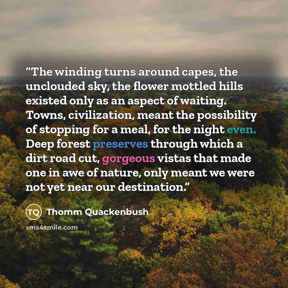 “The winding turns around capes, the unclouded sky, the flower mottled hills existed only as an aspect of waiting. Towns, civilization, meant the possibility of stopping for a meal, for the night even. Deep forest preserves through which a dirt road cut, gorgeous vistas that made one in awe of…” quote by Thomm Quackenbush