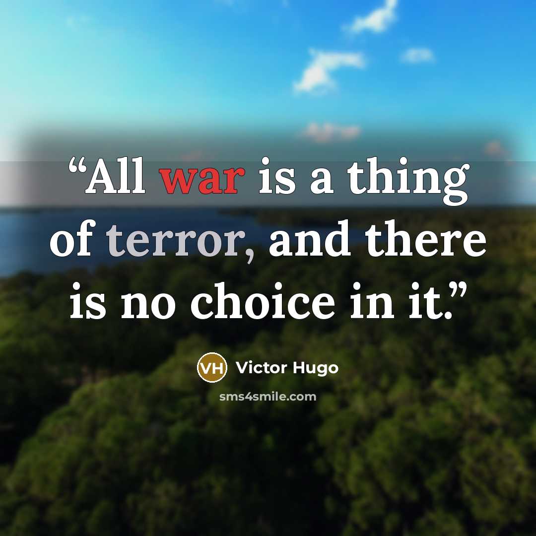 “All war is a thing of terror, and there is no choice in it.” quote by Victor Hugo