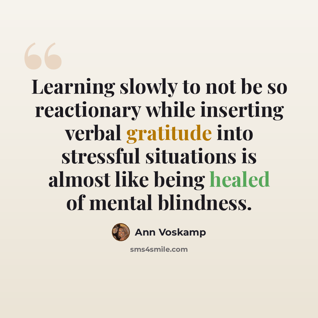 “Learning slowly to not be so reactionary while inserting verbal gratitude into stressful situations is almost like being healed of mental blindness.” quote by Ann Voskamp