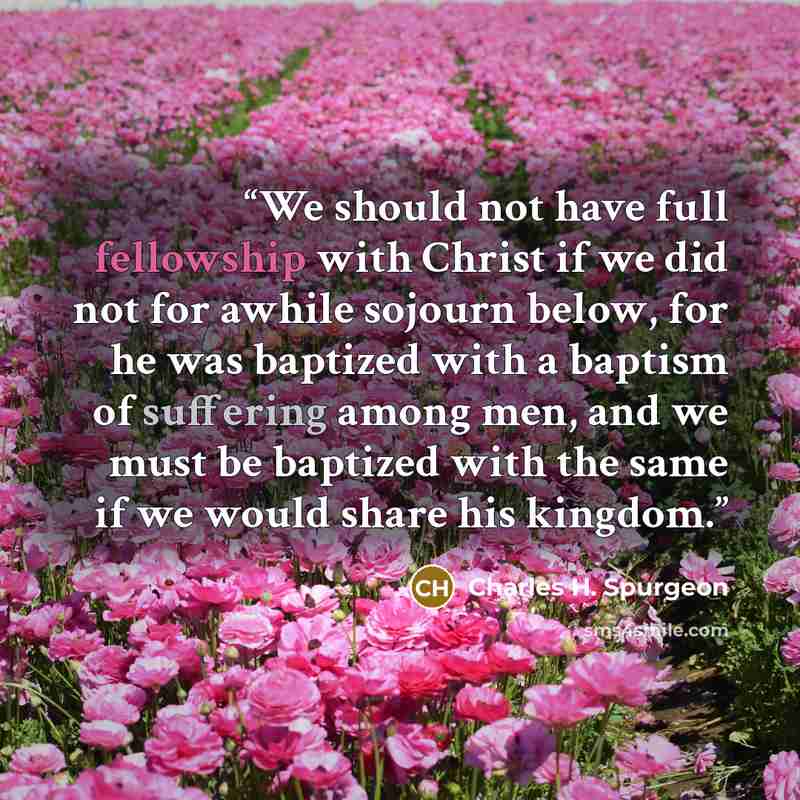 “We should not have full fellowship with Christ if we did not for awhile sojourn below, for he was baptized with a baptism of suffering among men, and we must be baptized with the same if we would share his kingdom.” quote by Charles H. Spurgeon