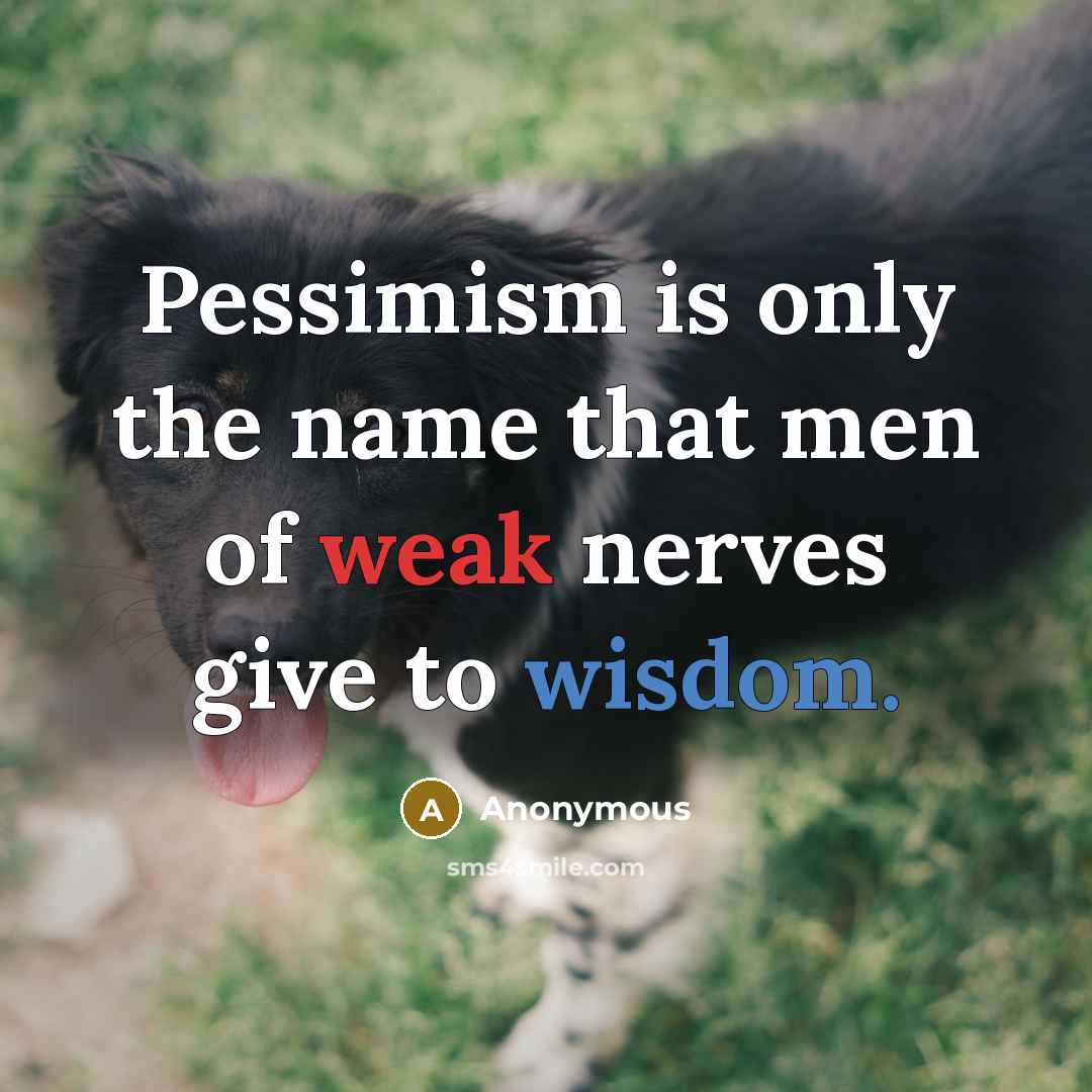 “Pessimism is only the name that men of weak nerves give to wisdom.” quote by Anonymous