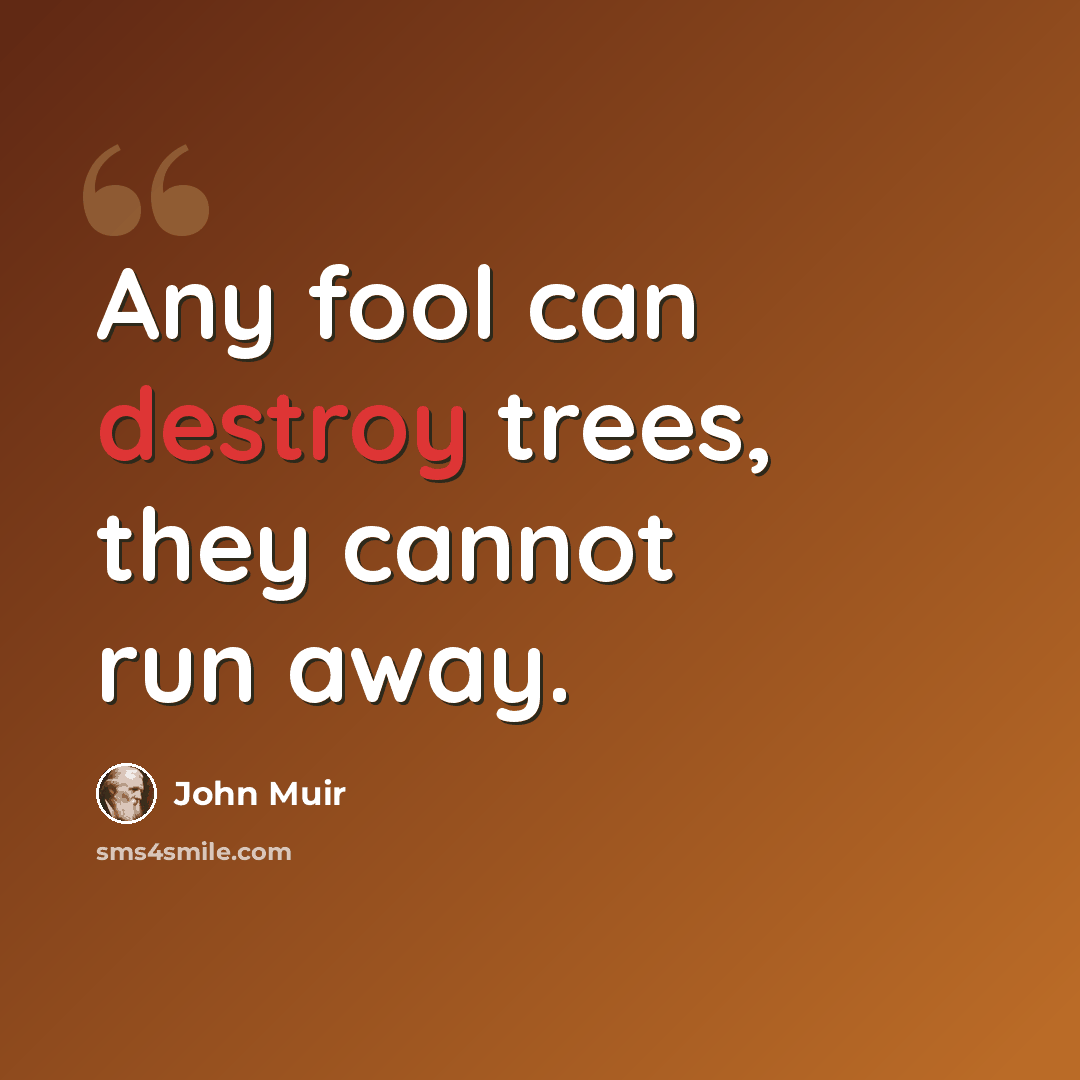 “Any fool can destroy trees, they cannot run away.” quote by John Muir