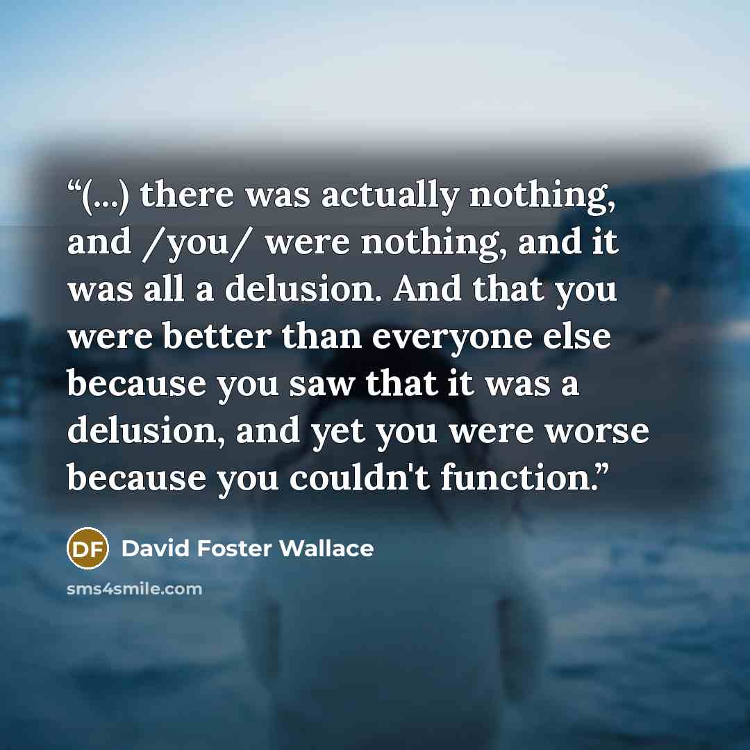 “(...) there was actually nothing, and /you/ were nothing, and it was all a delusion. And that you were better than everyone else because you saw that it was a delusion, and yet you were worse because you couldn't function.” quote by David Foster Wallace