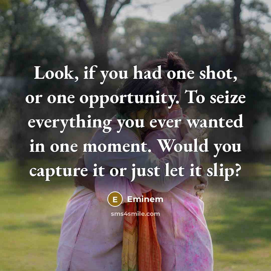 “Look, if you had one shot, or one opportunity. To seize everything you ever wanted in one moment. Would you capture it or just let it slip?” quote by Eminem