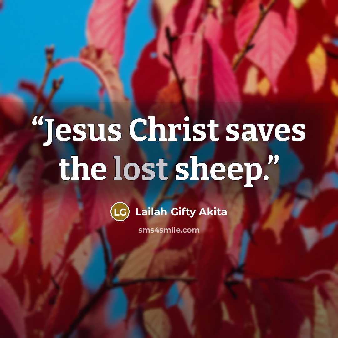 “Jesus Christ saves the lost sheep.” quote by Lailah Gifty Akita