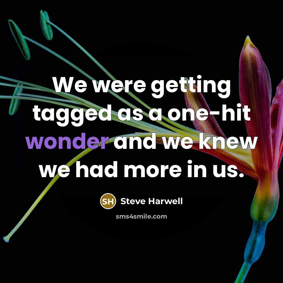 “We were getting tagged as a one-hit wonder and we knew we had more in us.” quote by Steve Harwell