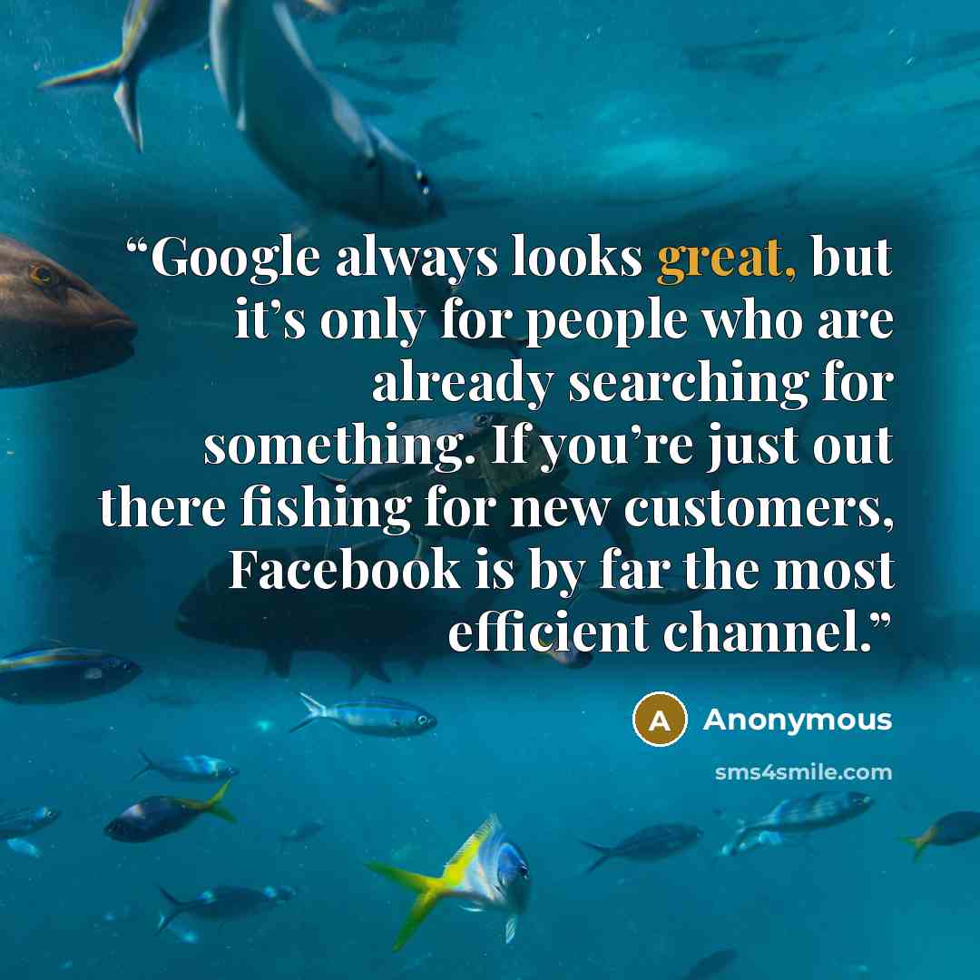 “Google always looks great, but it’s only for people who are already searching for something. If you’re just out there fishing for new customers, Facebook is by far the most efficient channel.” quote by Anonymous