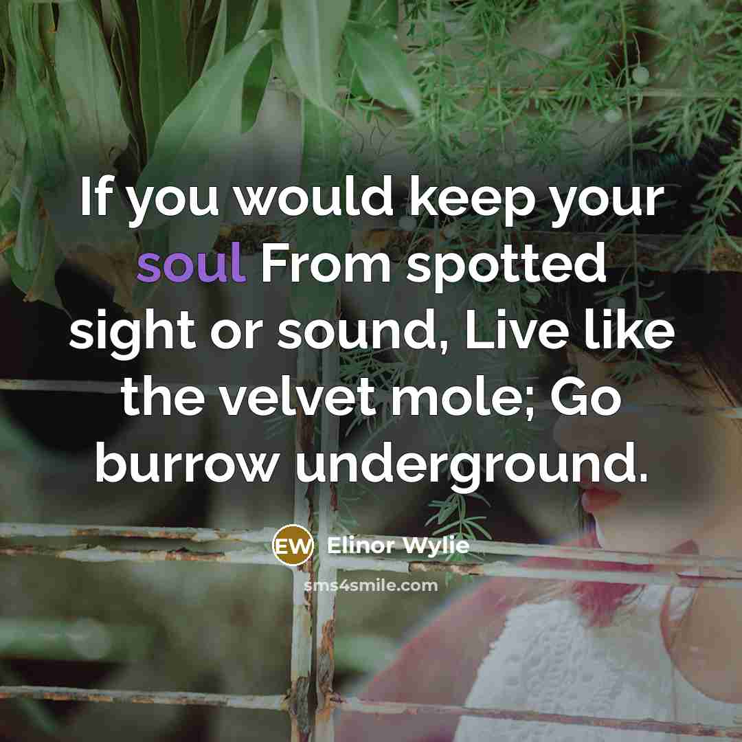 “If you would keep your soul From spotted sight or sound, Live like the velvet mole; Go burrow underground.” quote by Elinor Wylie