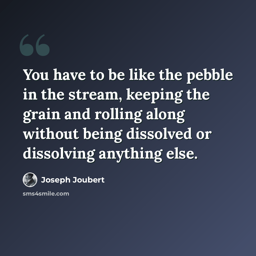 “You have to be like the pebble in the stream, keeping the grain and rolling along without being dissolved or dissolving anything else.” quote by Joseph Joubert