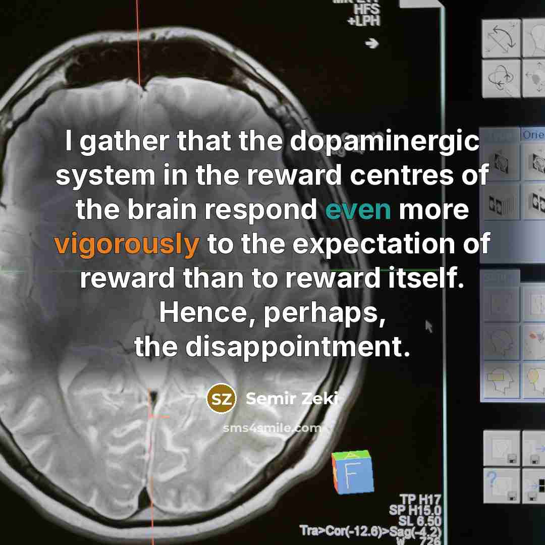 “I gather that the dopaminergic system in the reward centres of the brain respond even more vigorously to the expectation of reward than to reward itself. Hence, perhaps, the disappointment.” quote by Semir Zeki