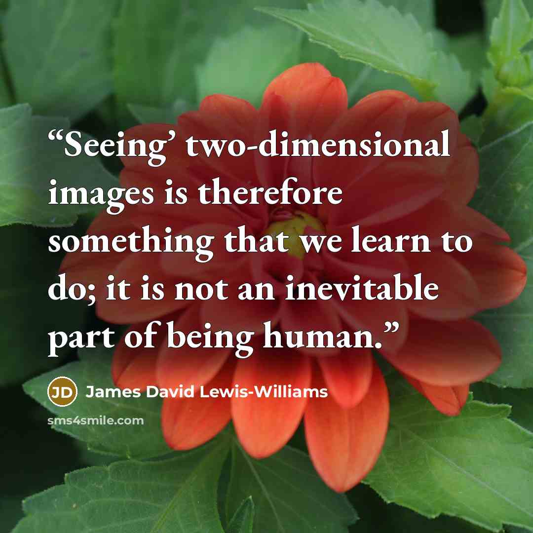 “Seeing’ two-dimensional images is therefore something that we learn to do; it is not an inevitable part of being human.” quote by James David Lewis-Williams