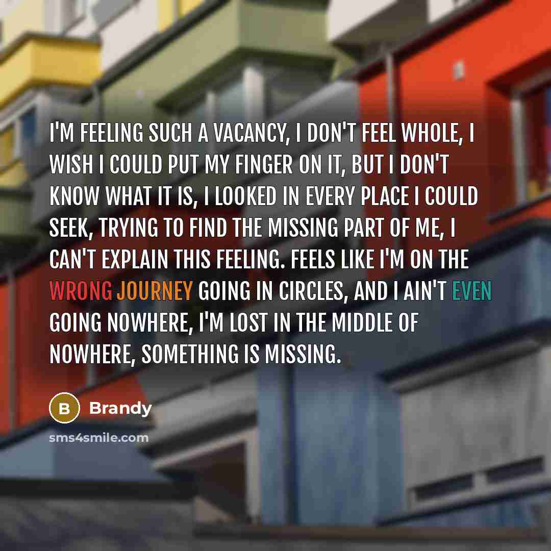 “I'm feeling such a vacancy, I don't feel whole, I wish I could put my finger on it, but I don't know what it is, I looked in every place I could seek, Trying to find the missing part of me, I can't explain this feeling. Feels like I'm on the wrong journey going in circles, And I ain't even going…” quote by Brandy