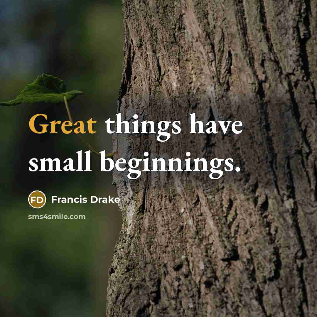 “Great things have small beginnings.” quote by Francis Drake
