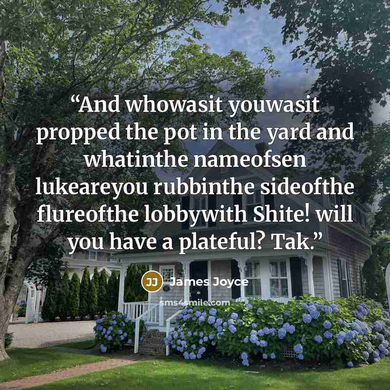 “And whowasit youwasit propped the pot in the yard and whatinthe nameofsen lukeareyou rubbinthe sideofthe flureofthe lobbywith Shite! will you have a plateful? Tak.” quote by James Joyce