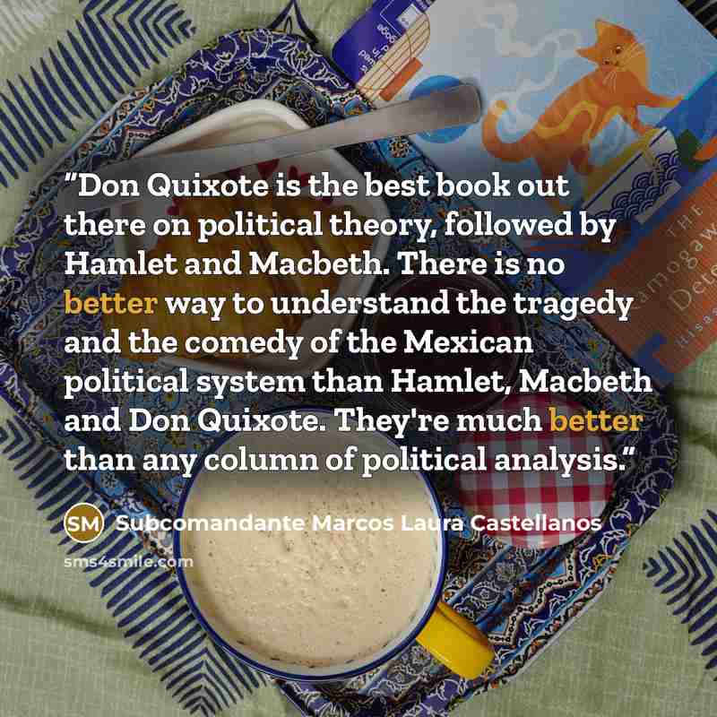 “Don Quixote is the best book out there on political theory, followed by Hamlet and Macbeth. There is no better way to understand the tragedy and the comedy of the Mexican political system than Hamlet, Macbeth and Don Quixote. They're much better than any column of political analysis.” quote by Subcomandante Marcos Laura Castellanos