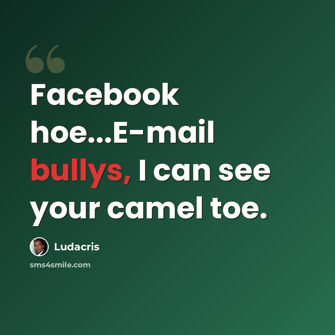 “Facebook hoe...E-mail bullys, I can see your camel toe.” quote by Ludacris