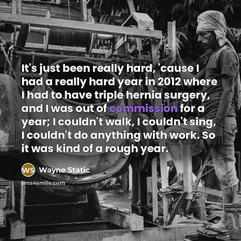 “It's just been really hard, 'cause I had a really hard year in 2012 where I had to have triple hernia surgery, and I was out of commission for a year; I couldn't walk, I couldn't sing, I couldn't do anything with work. So it was kind of a rough year.” quote by Wayne Static