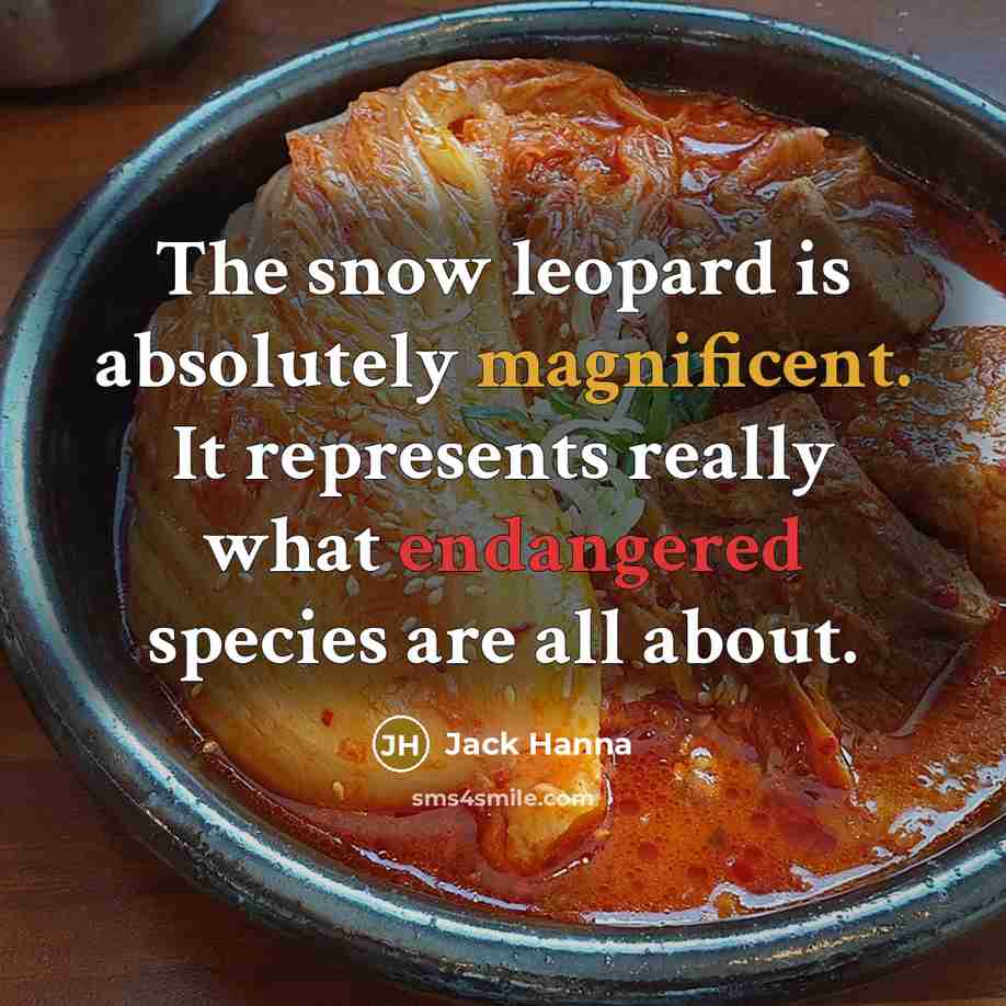 “The snow leopard is absolutely magnificent. It represents really what endangered species are all about.” quote by Jack Hanna
