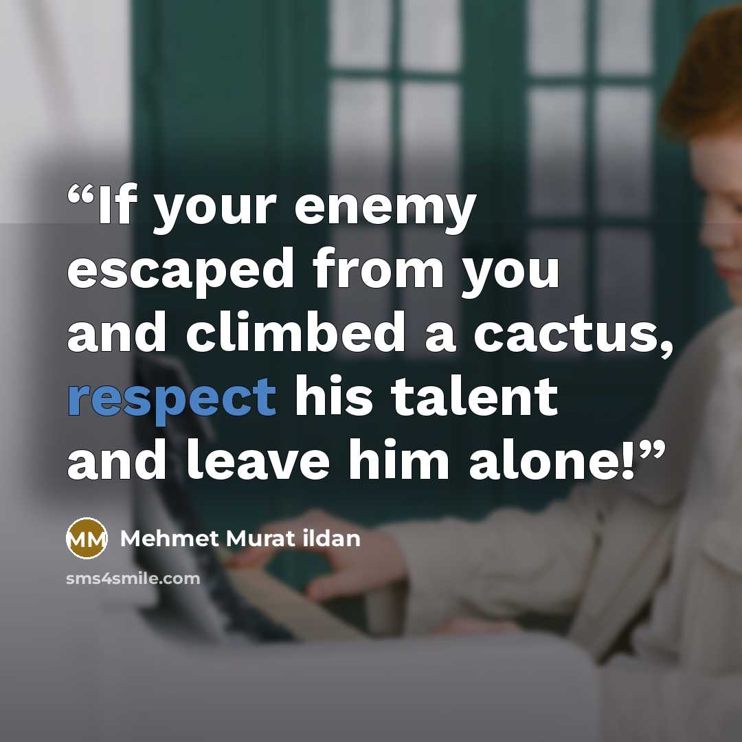 “If your enemy escaped from you and climbed a cactus, respect his talent and leave him alone!” quote by Mehmet Murat ildan