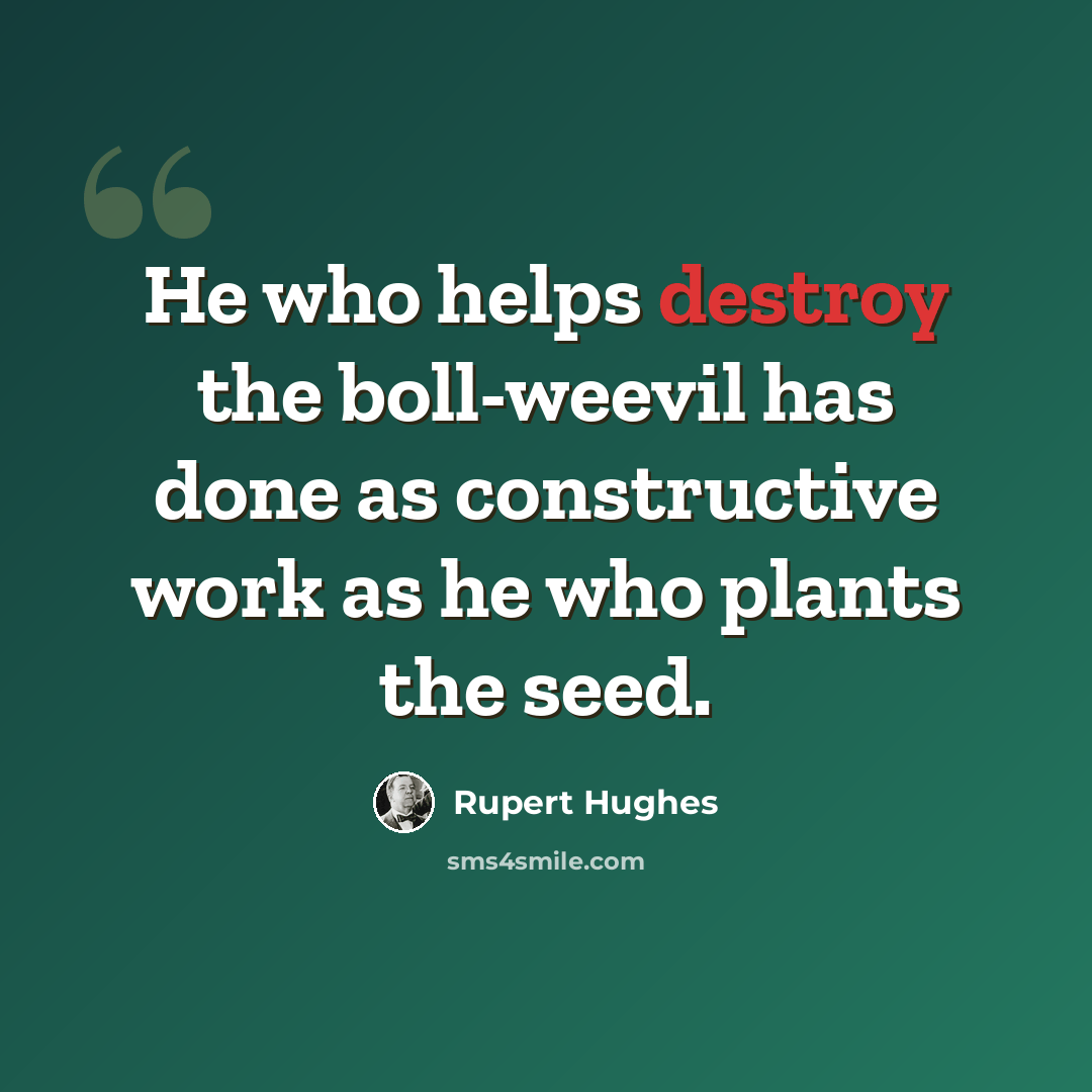 “He who helps destroy the boll-weevil has done as constructive work as he who plants the seed.” quote by Rupert Hughes