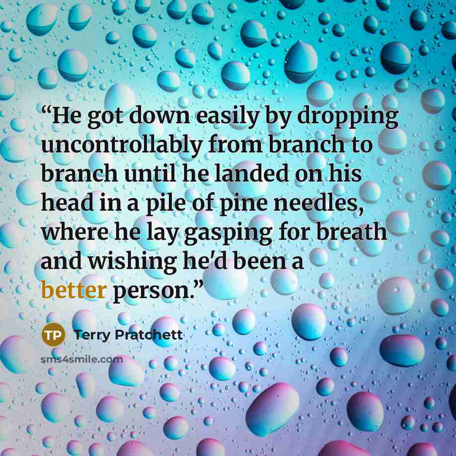 “He got down easily by dropping uncontrollably from branch to branch until he landed on his head in a pile of pine needles, where he lay gasping for breath and wishing he'd been a better person.” quote by Terry Pratchett