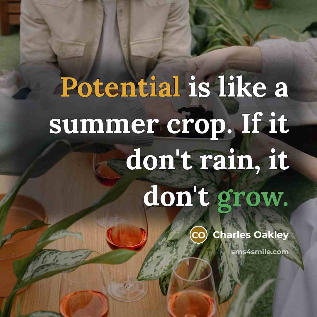 “Potential is like a summer crop. If it don't rain, it don't grow.” quote by Charles Oakley