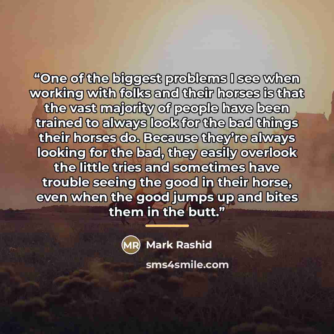 “One of the biggest problems I see when working with folks and their horses is that the vast majority of people have been trained to always look for the bad things their horses do. Because they’re always looking for the bad, they easily overlook the little tries and sometimes have trouble seeing…” quote by Mark Rashid