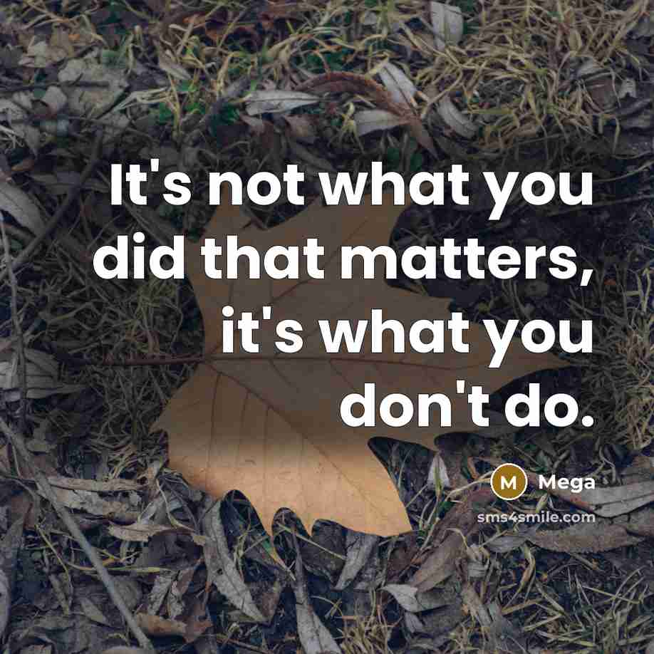 “It's not what you did that matters, it's what you don't do.” quote by Mega