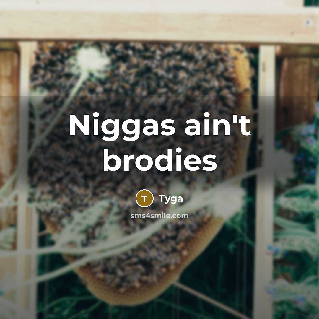 “Niggas ain't brodies” quote by TYGA