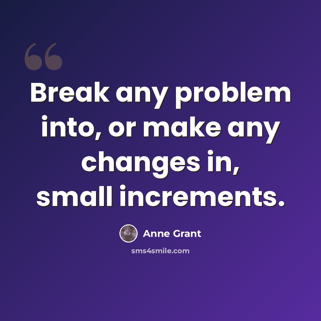 “Break any problem into, or make any changes in, small increments.” quote by Anne Grant